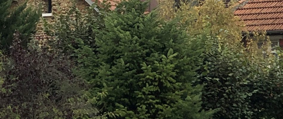 00 - Saint Maur Painlevé 01